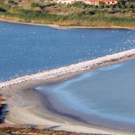 Vinile * Кальяри